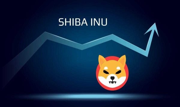 Shiba Inu Coin – A Complete Guide To Know The History | Cell To Phone