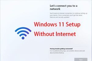 How To Install And Set Up Windows 11 Without An Internet Connection ...